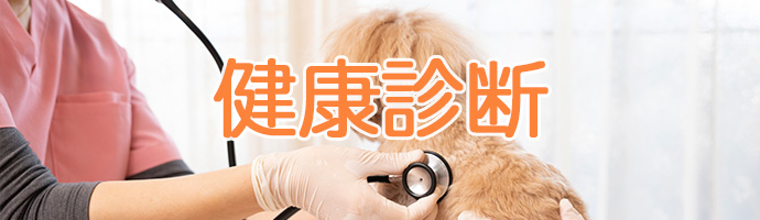 軟部外科とは