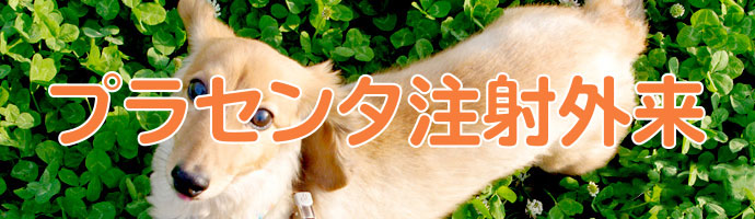 プラセンタ注射外来