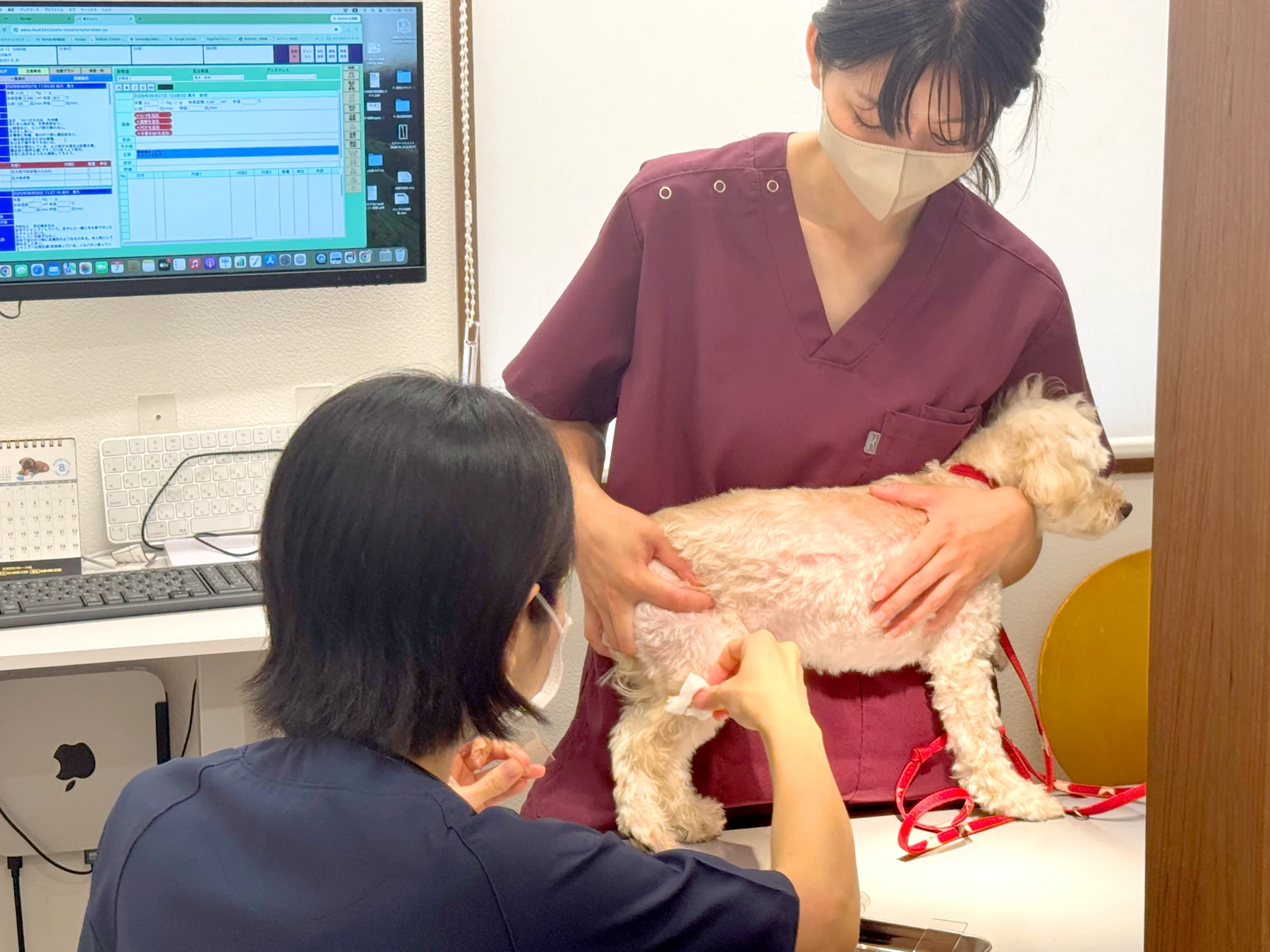 一般診療の様子