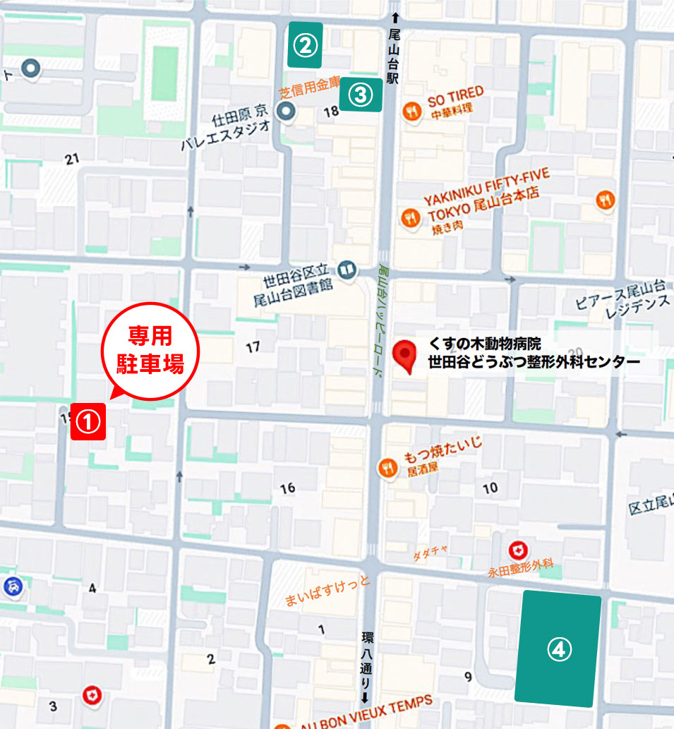 当院と駐車場の位置を示した地図