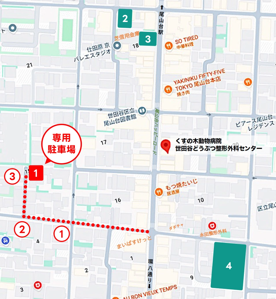 当院と駐車場の位置を示した地図