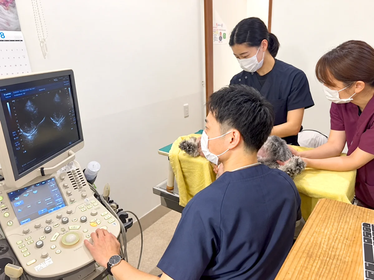 超音波検査の様子