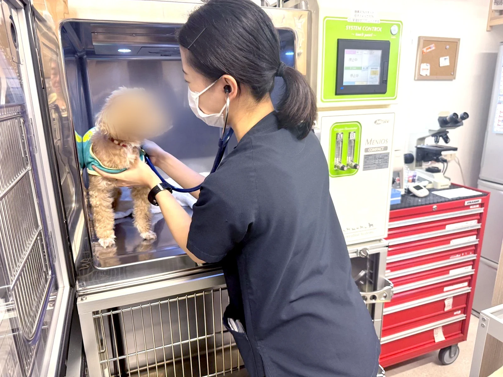覚醒後の状態を確認するスタッフ