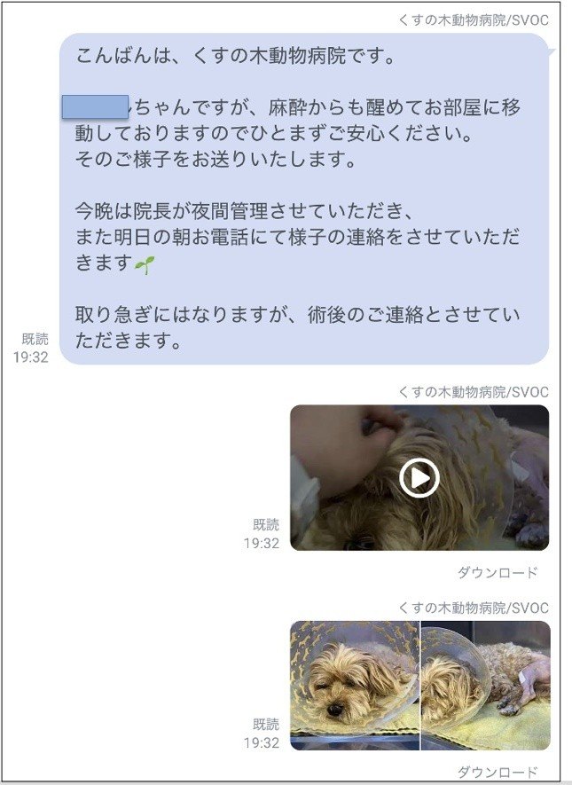 LINEでのご報告画面